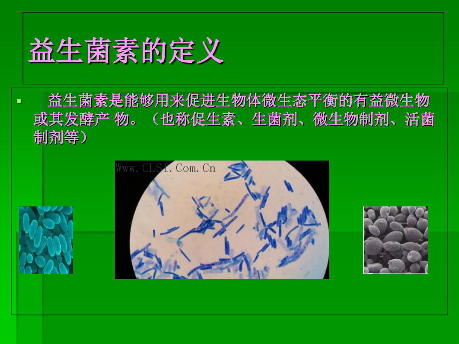 微生物益生菌的作用机理公开课课件.ppt_第2页