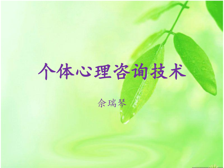 个体心理咨询技术.ppt_第1页