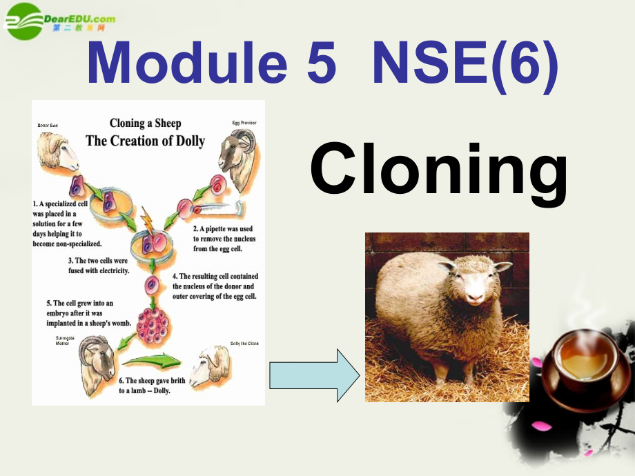 高中英语 Module5(Cloning)introduction,reading and voca课件2 外研版选修6 课件.ppt_第1页