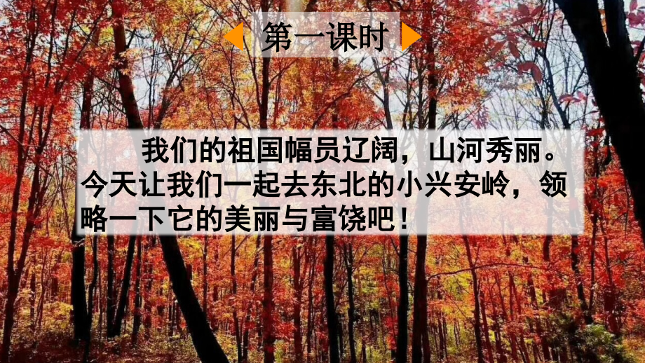三年级语文上册《美丽的小兴安岭》课件.ppt_第2页