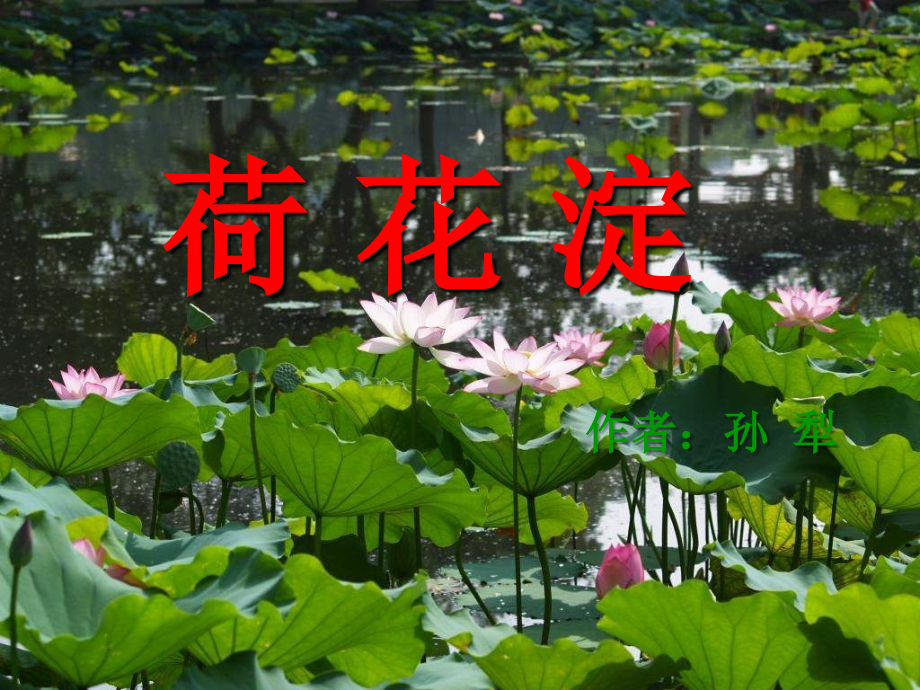 高中语文 荷花淀6 沪教版第五册 课件.ppt_第1页