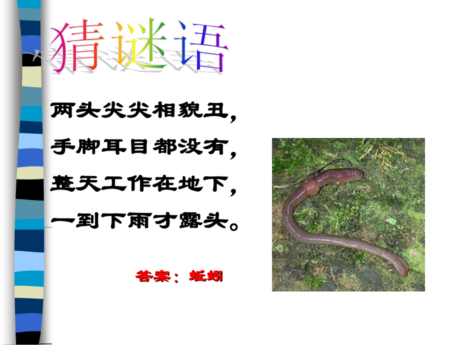 第二十课《蚯蚓找家》课件.ppt_第1页