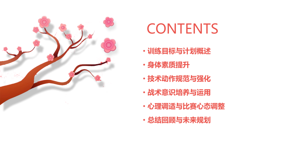 乒乓球个人训练计划书.pptx_第2页