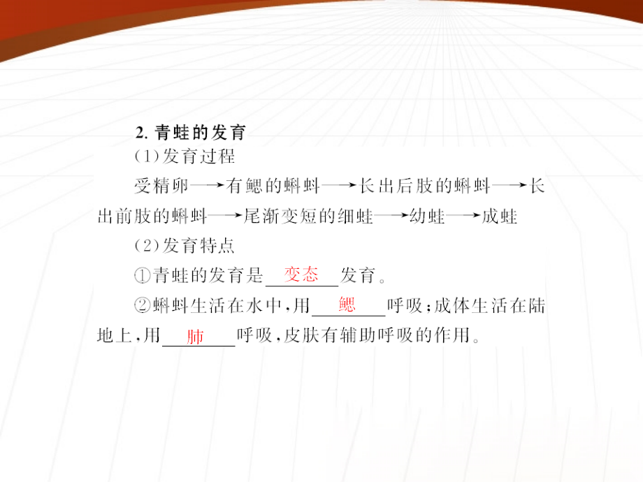 (随堂优化训练)八年级生物下册 第七单元 第一章 第三节 两栖动物的生殖和发育 配套课件 人教新课标版 课件.ppt_第2页
