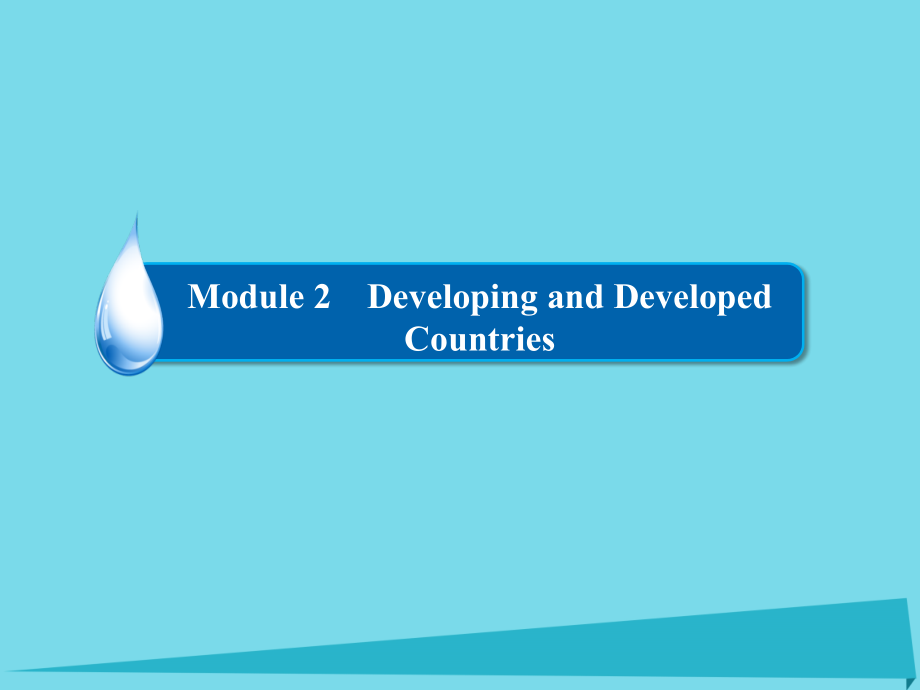 高考英语一轮复习 Module 2 Developing and Developed Countries课件 外研版必修3 课件.ppt_第2页