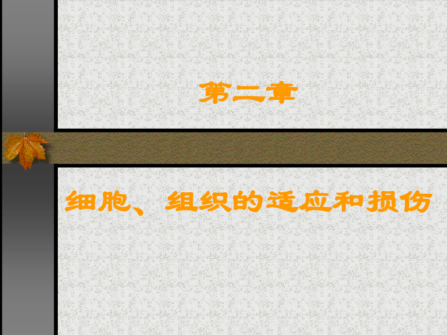 细胞组织的适应和损伤.ppt_第1页