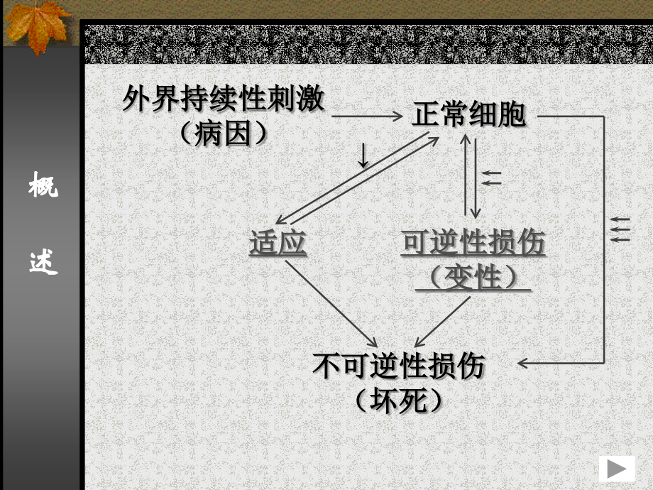 细胞组织的适应和损伤.ppt_第2页