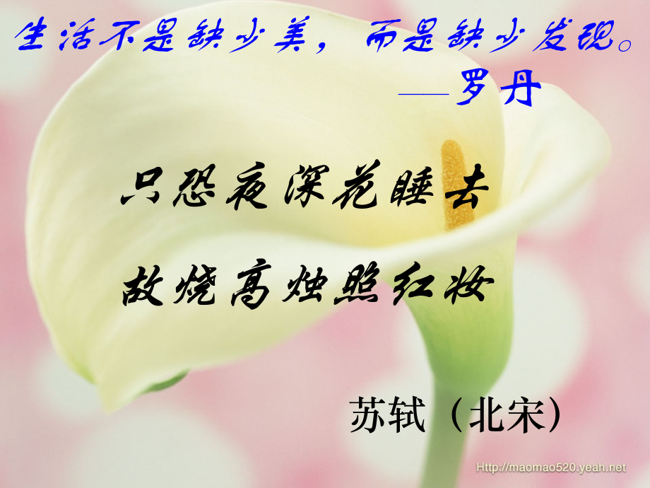 高一语文花未眠教学课件 新课标 人教版0 课件.ppt_第2页
