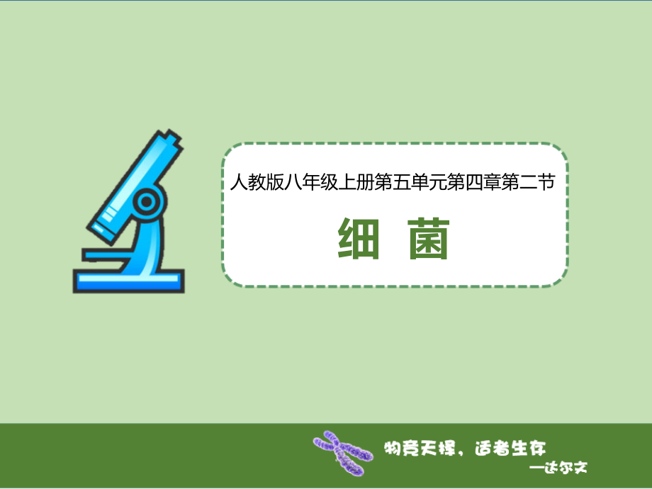 第四章第二节《细菌》1(课件).pptx_第1页