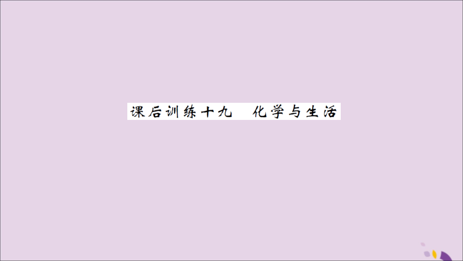 湖北省中考化学一轮复习 课后训练十九 化学与生活习题课件.ppt_第1页