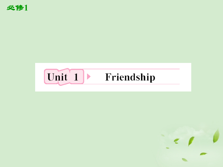 高考英语一轮复习 Unit1 Friendship课件 新人教版必修1 课件.ppt_第2页