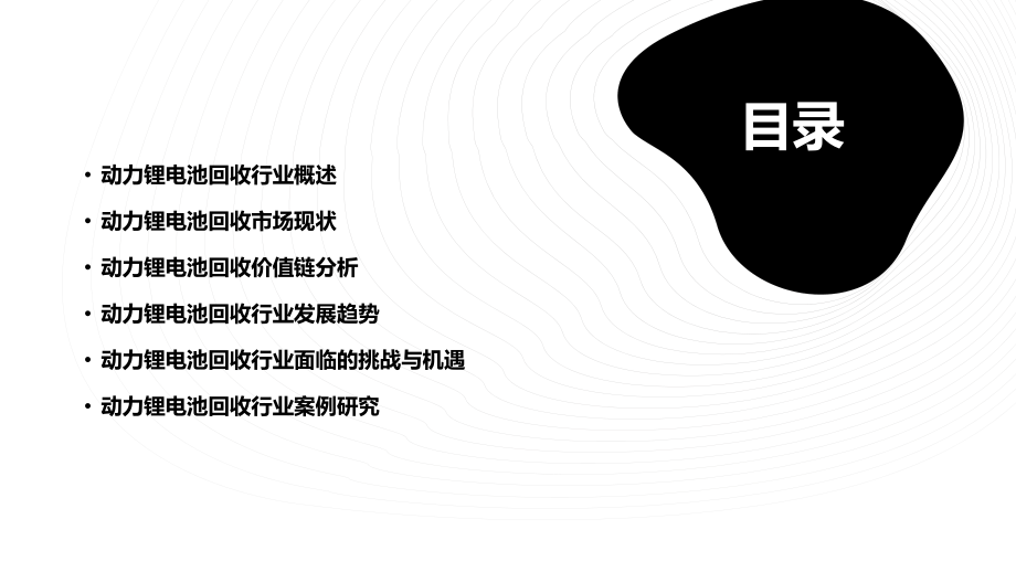 动力锂电池回收行业报告.pptx_第2页