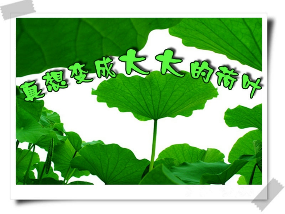 真想变成大大的荷叶.pptx_第1页