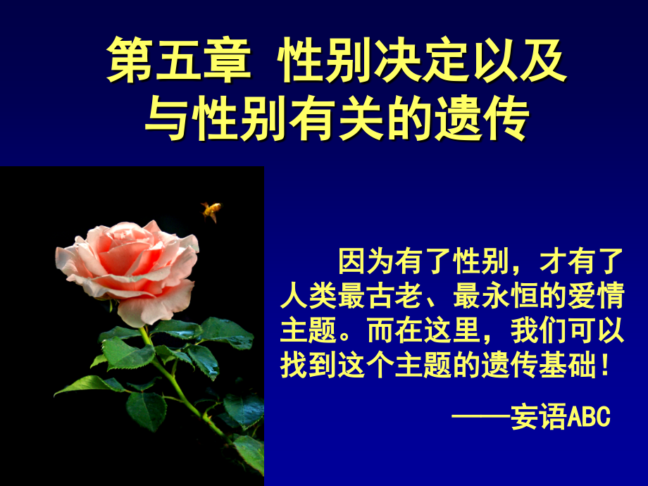 遗传学-性别决定及与性别有关的遗传.ppt_第2页