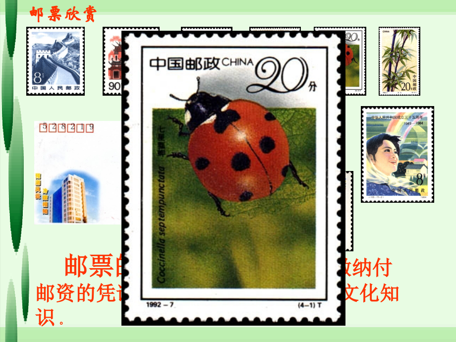 y邮票齿孔的故事.ppt_第1页