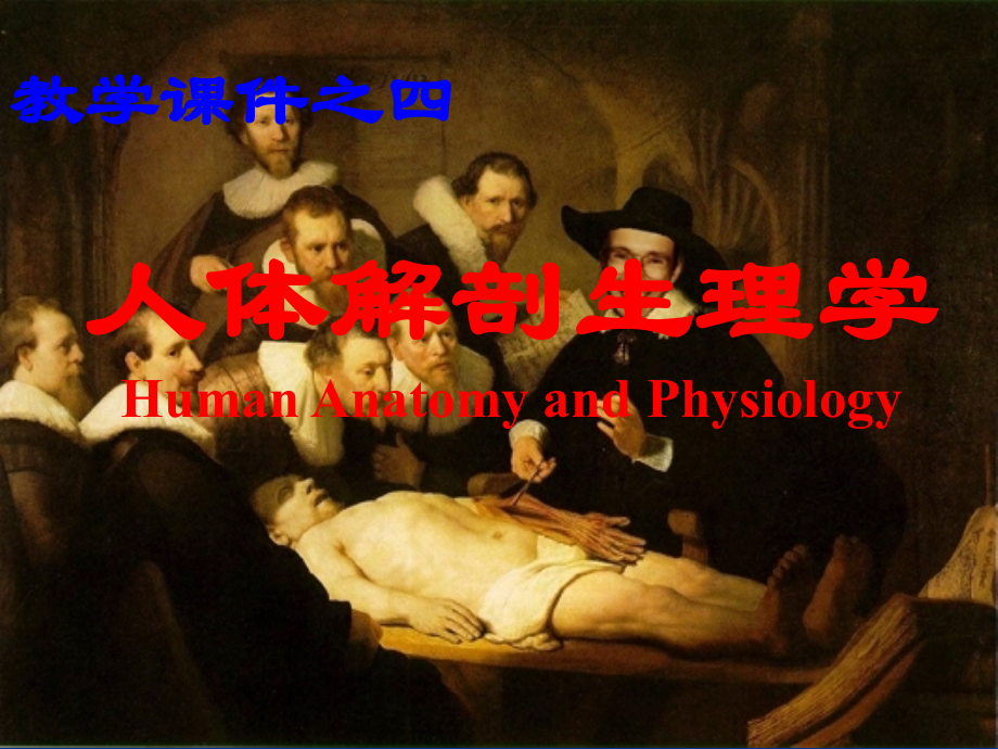 解剖生理学-第四章-运动系统1课件.ppt_第1页