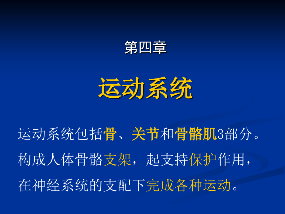 解剖生理学-第四章-运动系统1课件.ppt_第2页