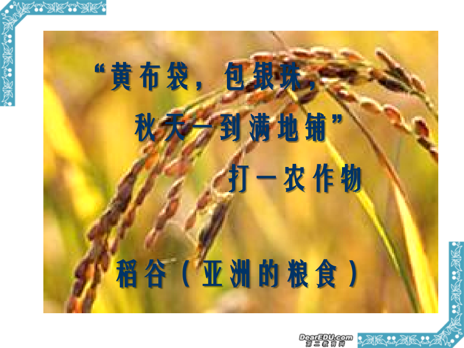 七年级历史家住平原课件 人教版 课件.ppt_第1页
