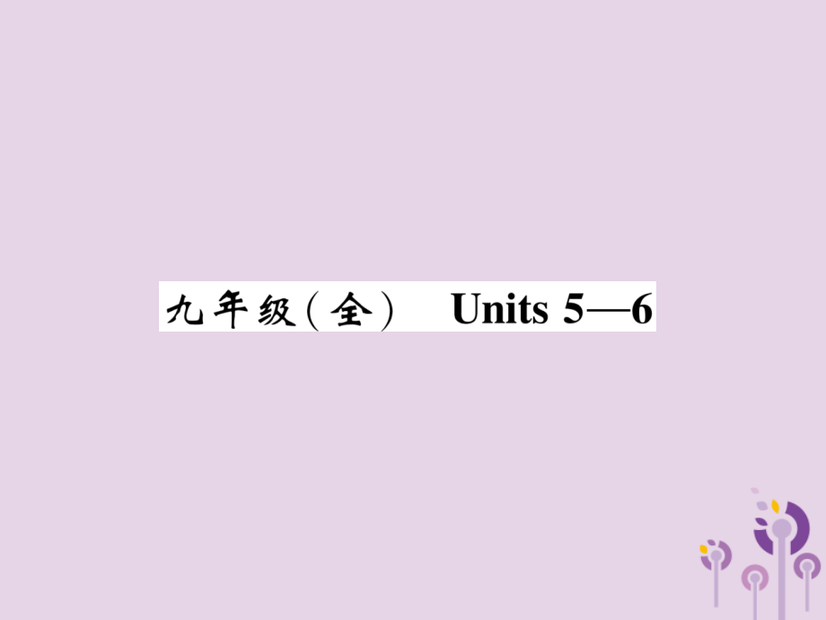 中考英语总复习 第一篇 教材知识梳理篇 九全 Units 5 6(精讲)课件.ppt_第1页