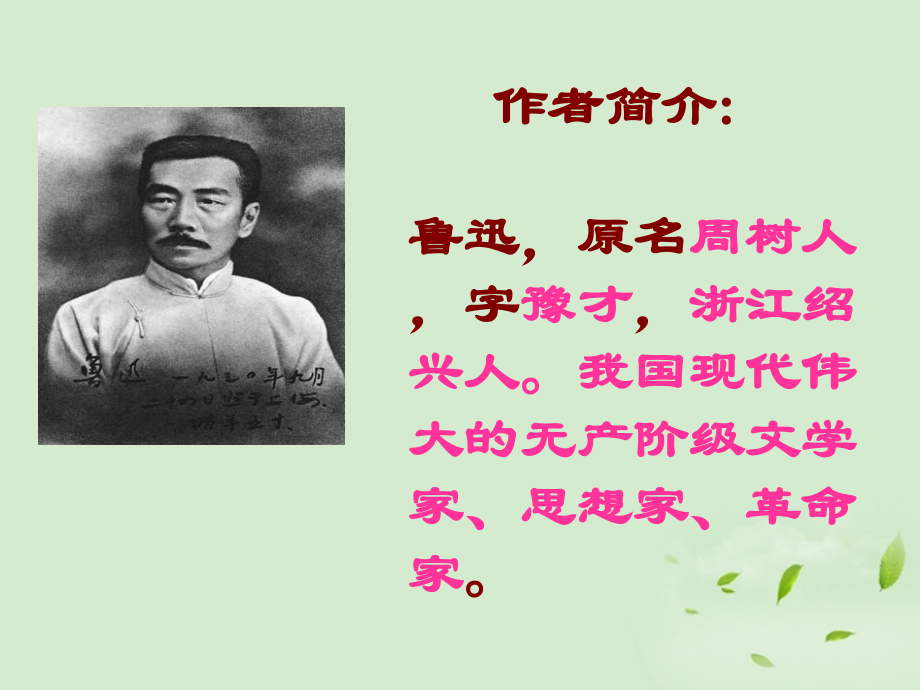 高中语文 (祝福)课件 苏教版必修2 课件.ppt_第2页