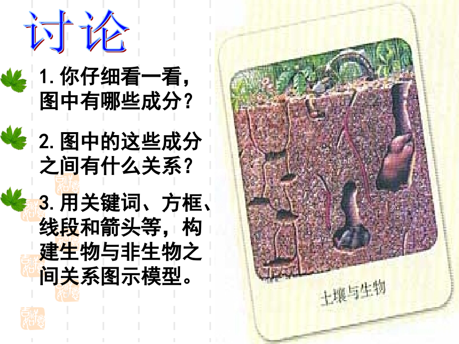第一节生态系统的营养结构.ppt_第2页