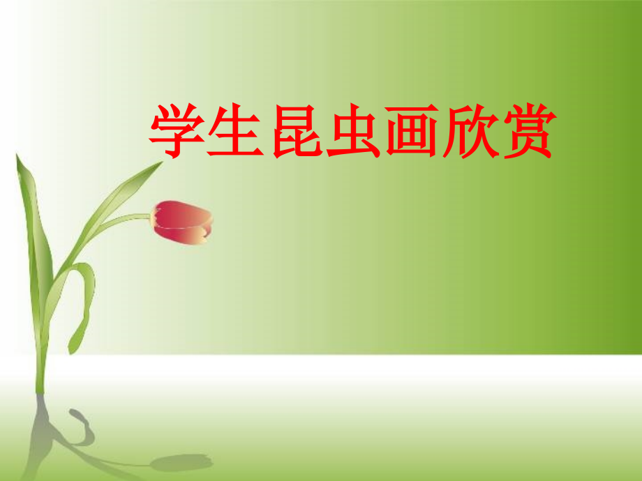 学生昆虫画欣赏.ppt_第1页
