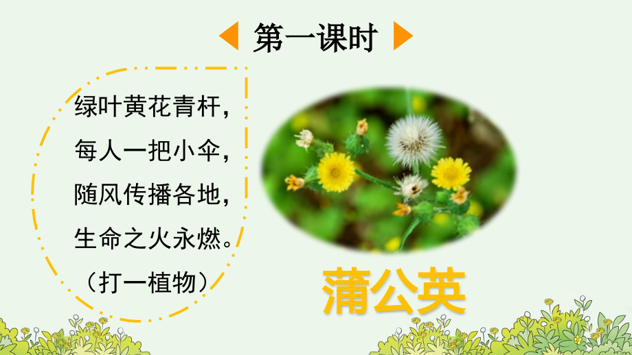部编人教版三年级语文上册《金色的草地》课件.ppt_第2页