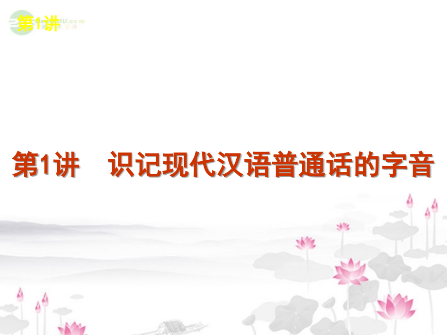 高考语文一轮复习 第1模块(1-3讲)语言文字运用课件 大纲人教版 课件.ppt_第2页