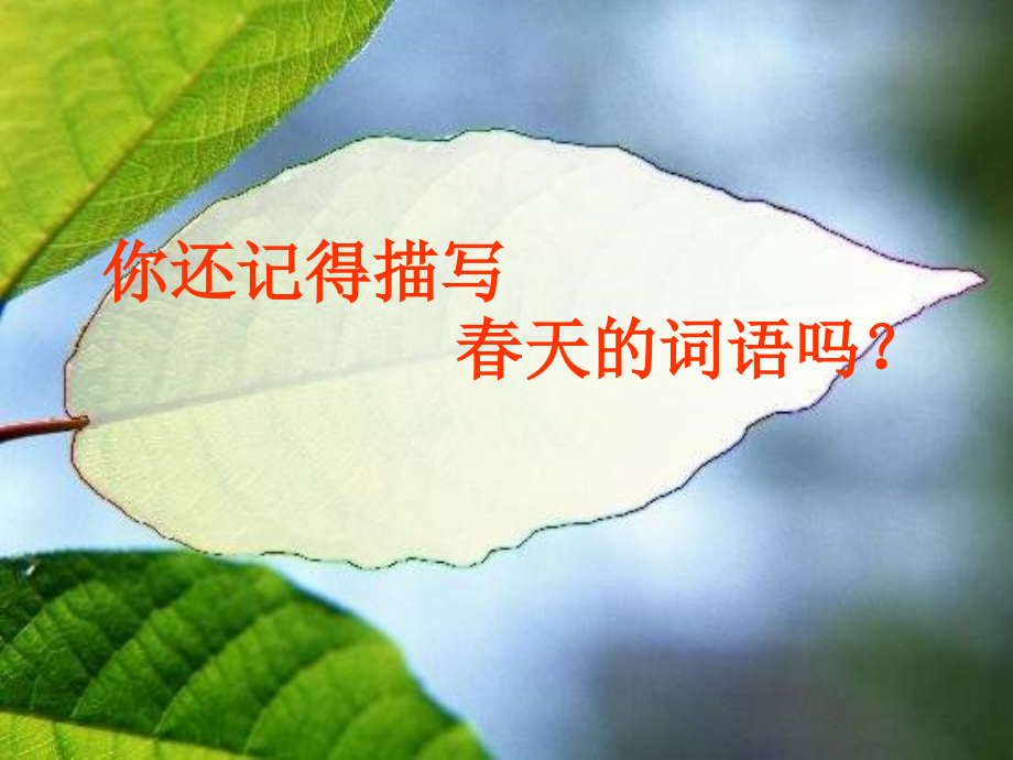 春雨的色彩-课件.ppt_第2页
