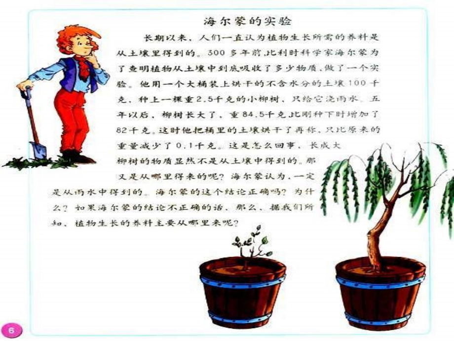 小学科学植物怎样生存.ppt_第2页