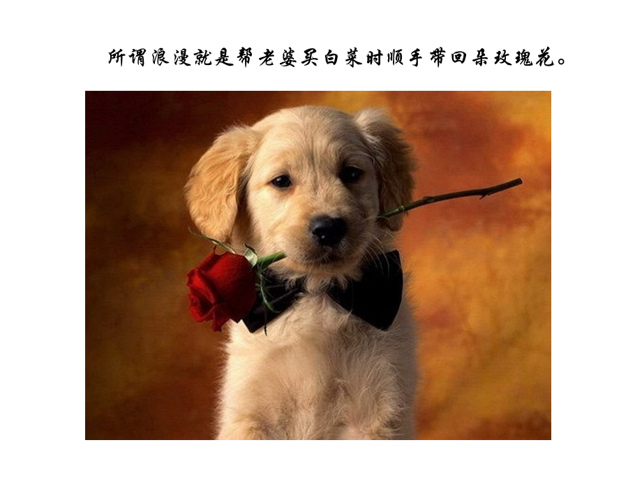 一张图一句话-诉说人生哲理.ppsma13.ppt_第1页