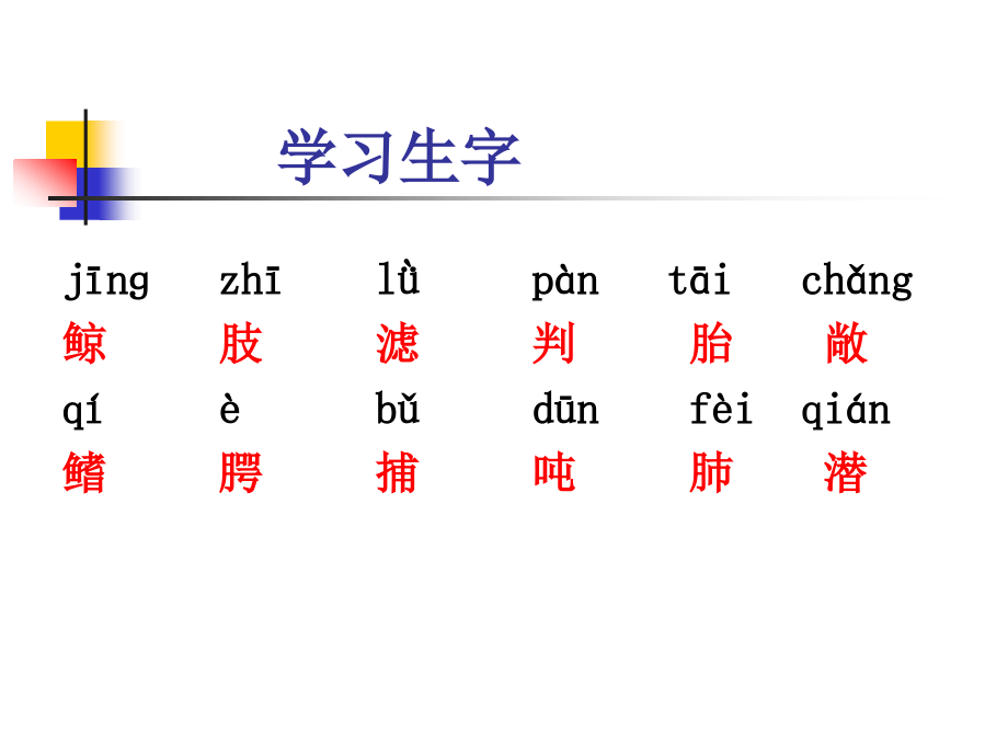人教版小学语文第九册《鲸》课件.ppt_第2页