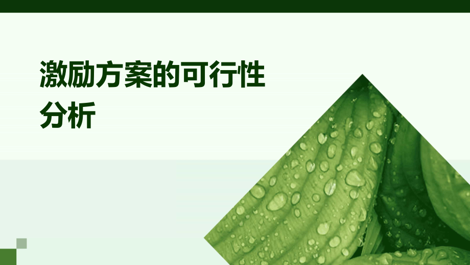 激励方案的可行性分析.pptx_第1页