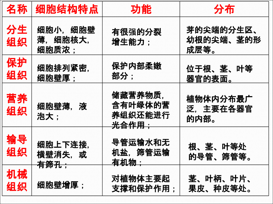 植物的几种主要组织的比较.ppt_第1页