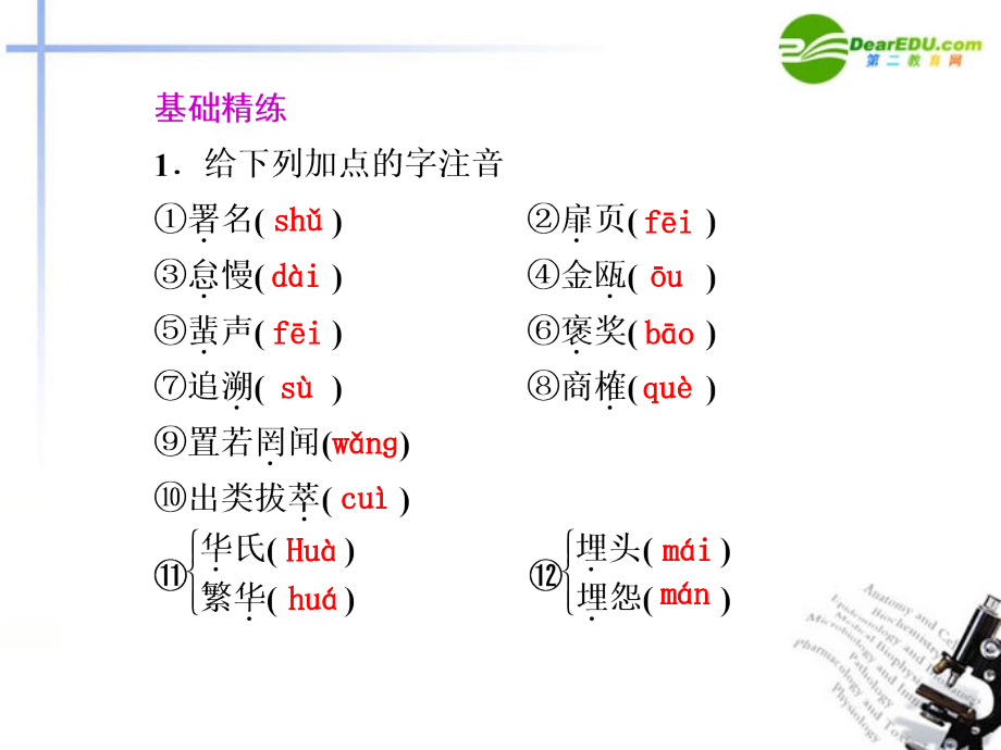 高中语文 第5课华罗庚第1课时课件 粤教版必修1 课件.ppt_第1页
