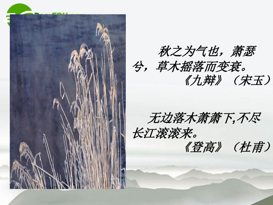 高中语文(故都的秋)课件 沪教版第四册 课件.ppt_第2页