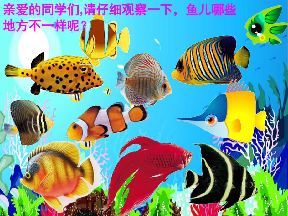 人教版小学美术一年级上册《鱼儿游游》课件(.ppt_第2页