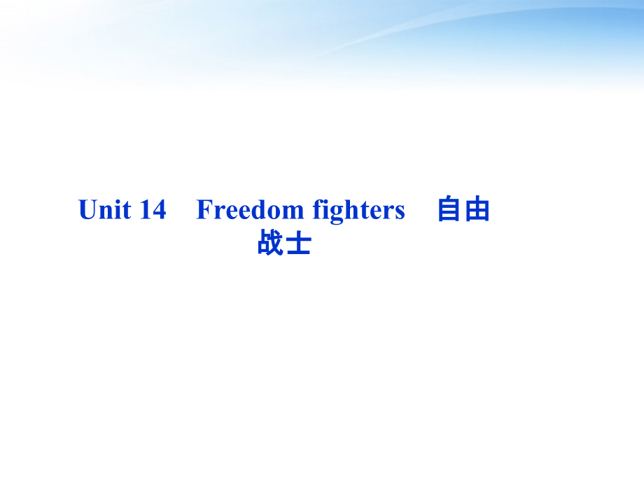 高考英语总复习 Units 14 Freedom fighters课件 大纲人教版 课件.ppt_第2页