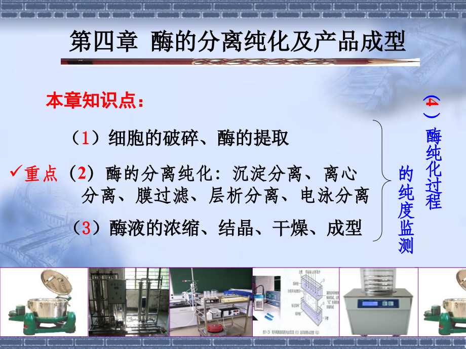 微生物学第四章-酶的分离纯化公开课课件.ppt_第2页