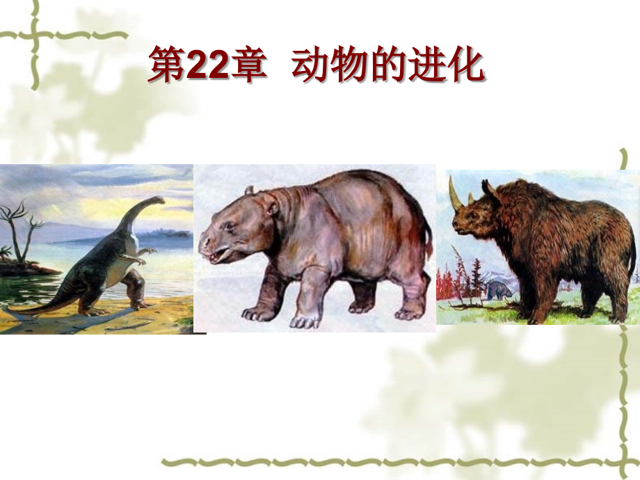 第22章动物的进化.ppt_第1页