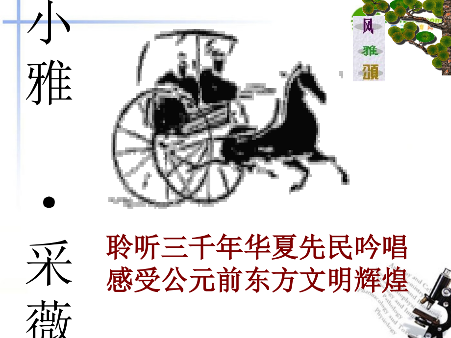 高中语文 第二单元第5课(采薇)课件 新人教版必修2(高一) 课件.ppt_第1页