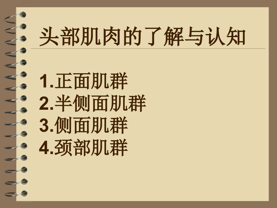 素描头像第二讲头部肌肉课件.ppt_第2页