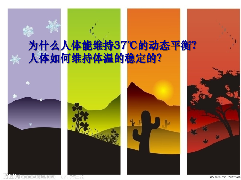 体温的平衡调节——北师大课件.ppt_第1页