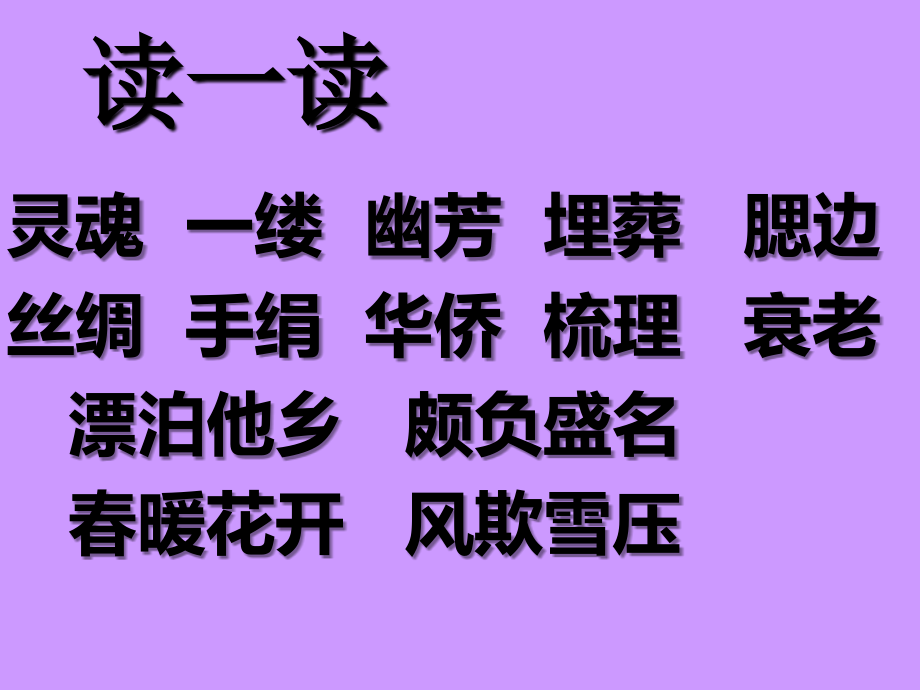《06梅花魂》PPT课件.ppt_第2页