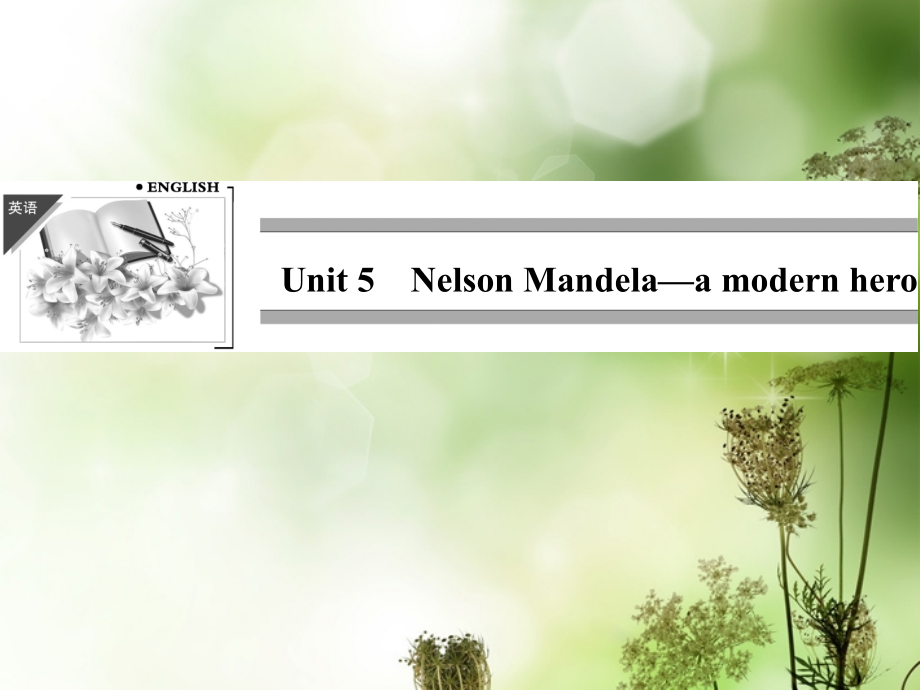 高中英语 Unit 5 Nelson Mandela—a modern hero-Period 1课件 新人教版必修1 课件.ppt_第1页