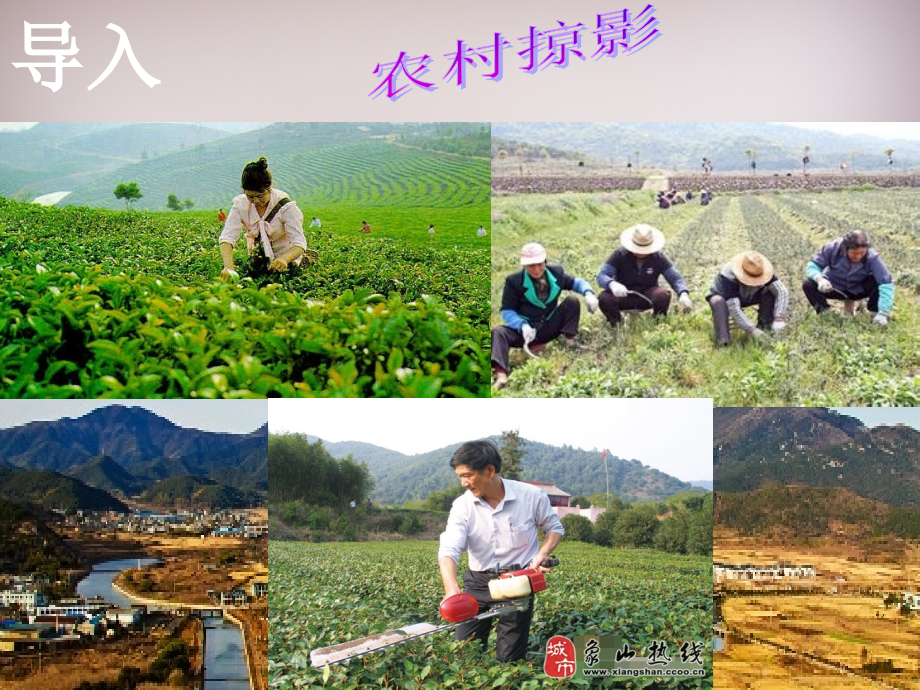 七年级历史与社会下册 第八单元 第1课 第2框(走访原始的农业聚落)课件2 人教版 课件.ppt_第2页