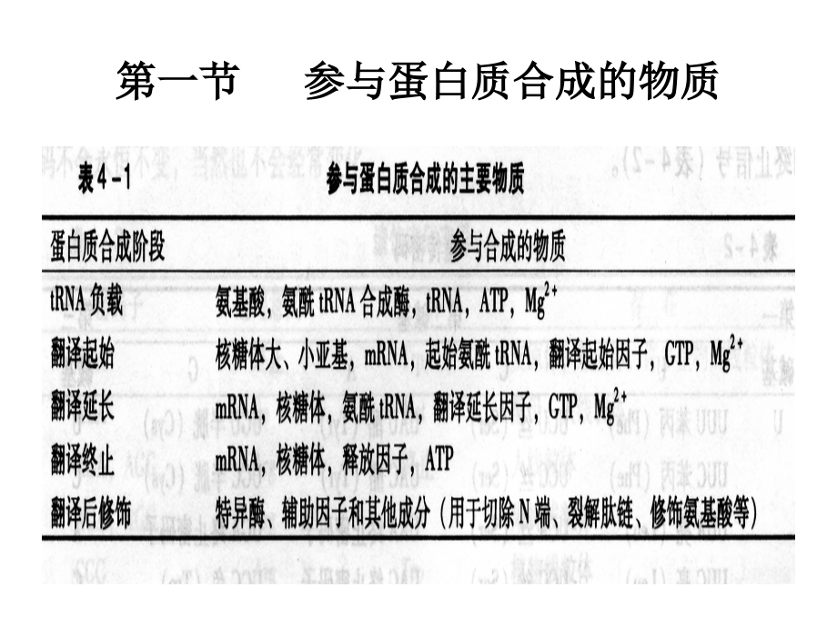 分子生物学第4章课件.ppt_第2页