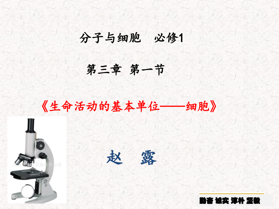 生物科学研究的重要工具——显微镜-(4).ppt_第1页