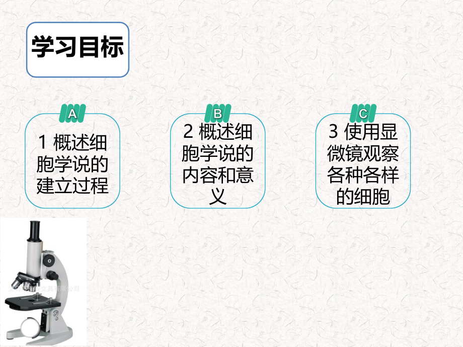 生物科学研究的重要工具——显微镜-(4).ppt_第2页