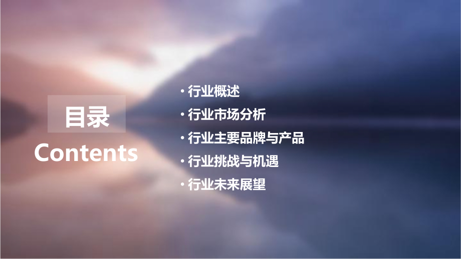 休闲卤味行业报告.pptx_第2页